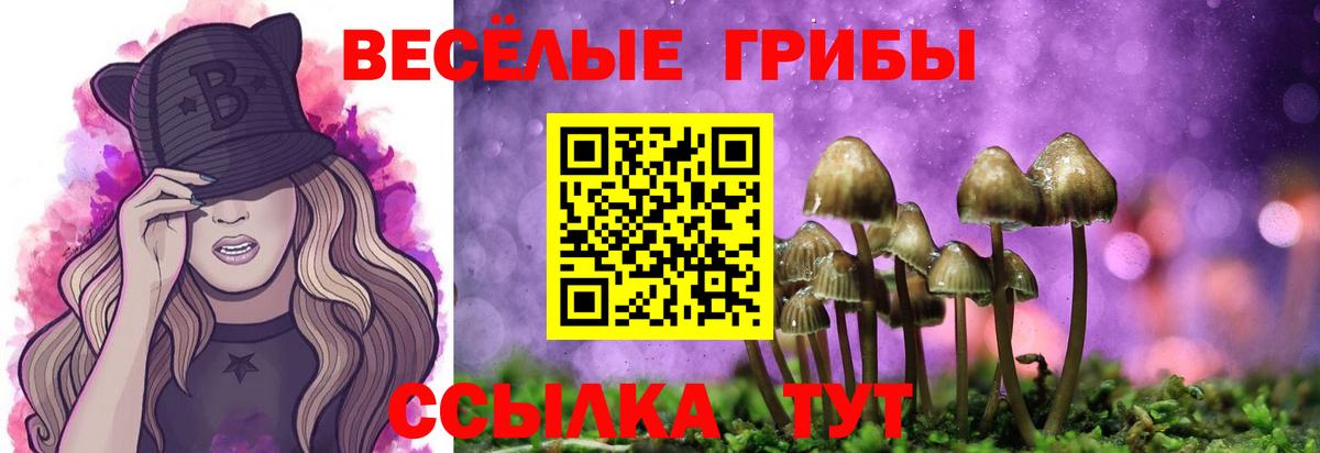 Псилоцибиновые грибы Magic Shrooms  купить наркотик  Кунгур  Вход с VPN 