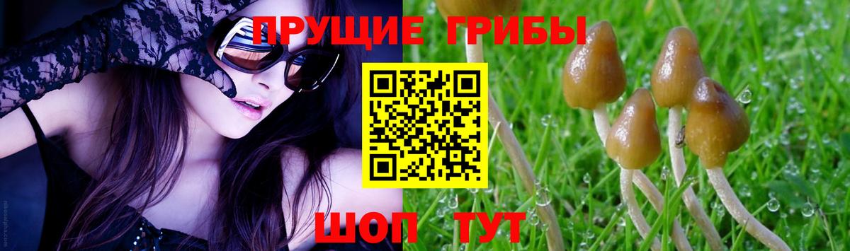 Галлюциногенные грибы ЛСД Кунгур